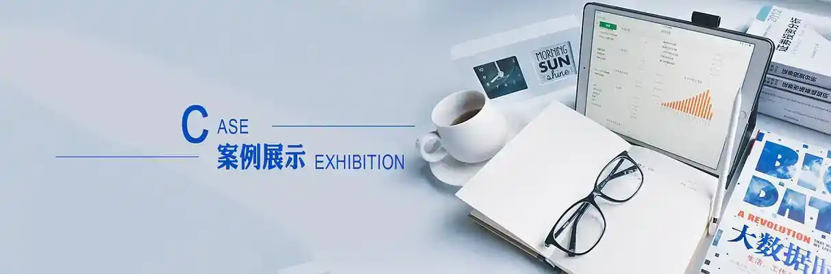带岭区软件开发